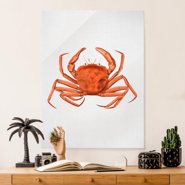 Cuadros de peces modernos Vintage Illustration Red Crab