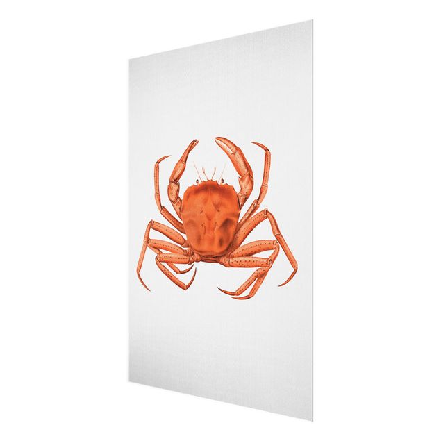 Cuadros de cristal playas Vintage Illustration Red Crab