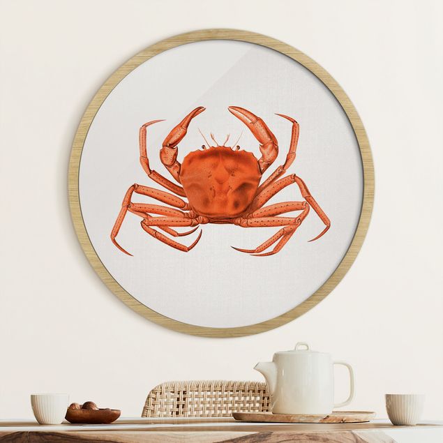 Cuadros peces Vintage Illustration Red Crab