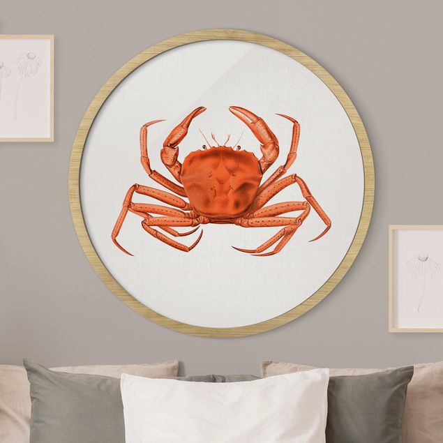 Cuadros paisajes Vintage Illustration Red Crab