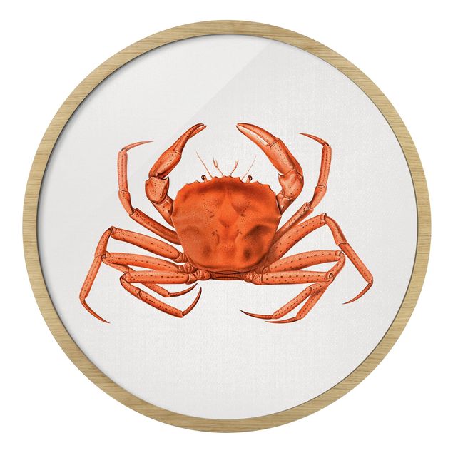 Pósters enmarcados de paisajes Vintage Illustration Red Crab