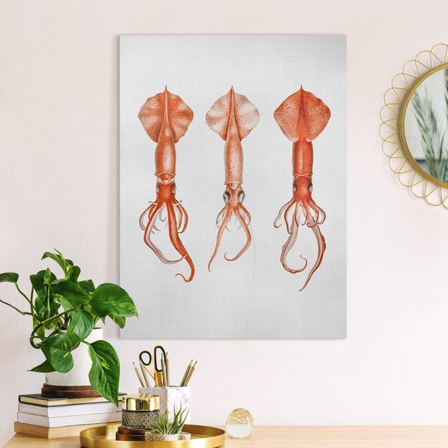 Lienzos de peces Vintage Illustration Red Squid