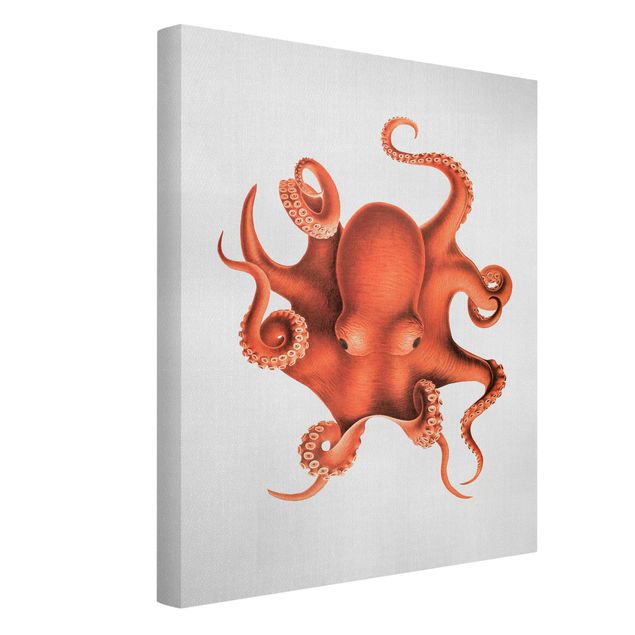 Cuadros playa Vintage Illustration Red Octopus