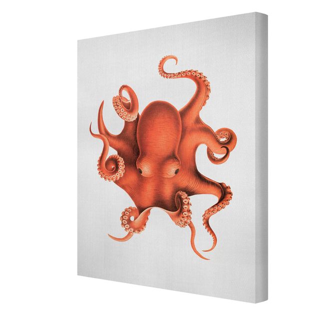 Lienzos de paisajes Vintage Illustration Red Octopus