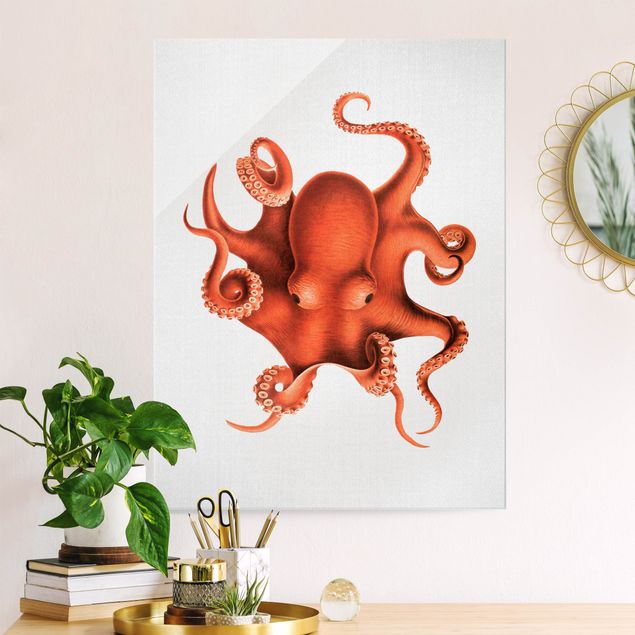 Cuadros peces Vintage Illustration Red Octopus