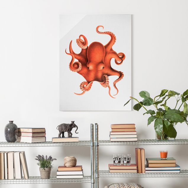 Cuadros paisajes Vintage Illustration Red Octopus