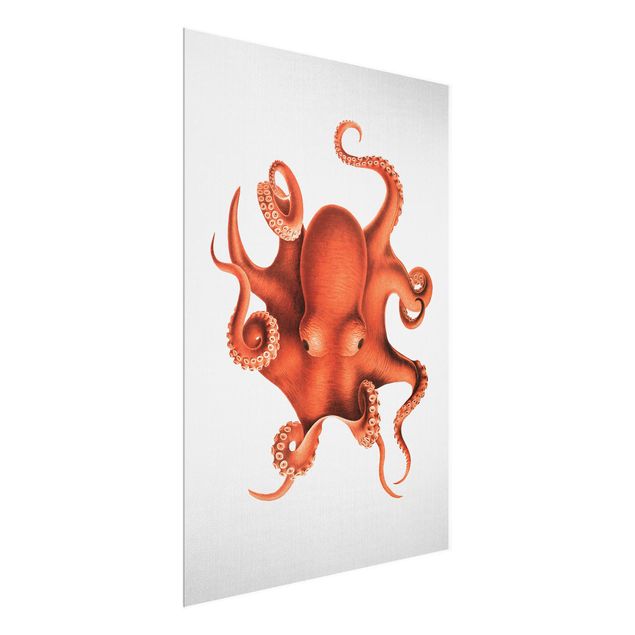 Cuadros marinos Vintage Illustration Red Octopus