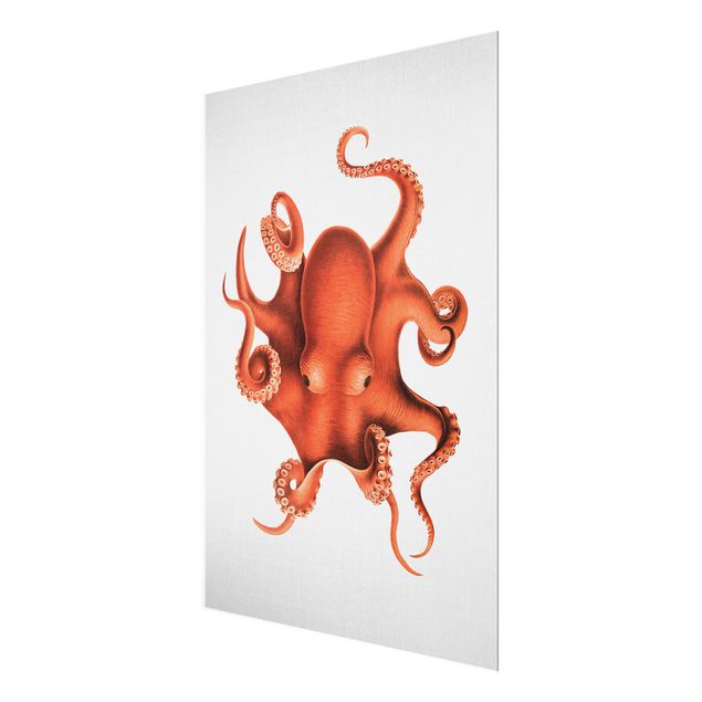 Cuadros de cristal playas Vintage Illustration Red Octopus