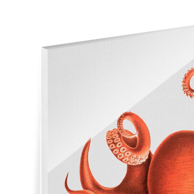 Cuadros de cristal animales Vintage Illustration Red Octopus