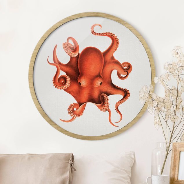 Cuadros peces Vintage Illustration Red Octopus