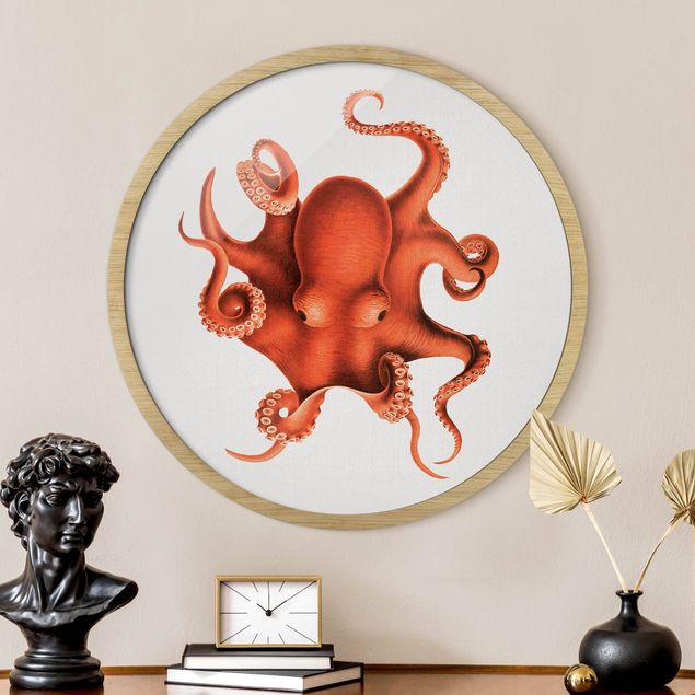 Cuadros paisajes Vintage Illustration Red Octopus