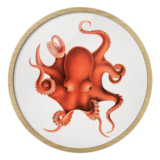Pósters enmarcados de paisajes Vintage Illustration Red Octopus
