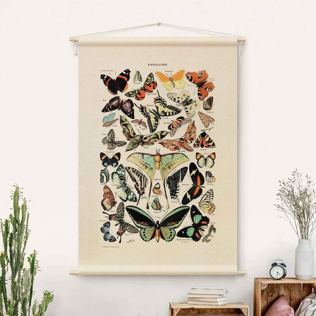 Tapices de pared modernos Vintage Teaching Illustration Butterflies