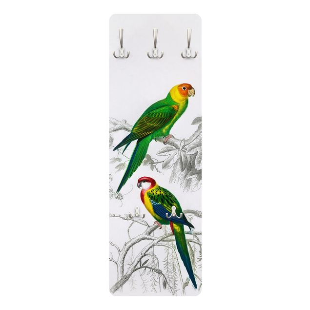 Perchero verde Vintage Wall Chart Two Parrots Green Red