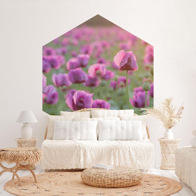 Papel pintado floral Purple Poppy Flower Meadow In Spring