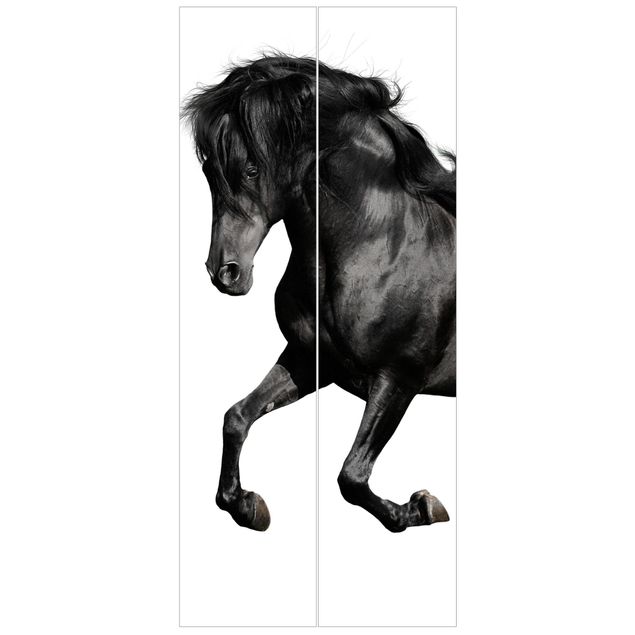 Papel pintado para puertas animales Arabian Stallion
