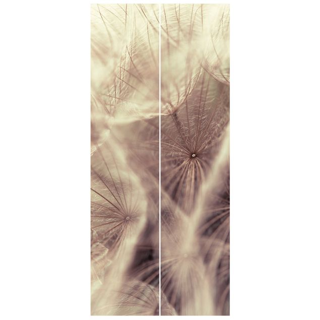 Papel pared flores Detailed Dandelion Macro Shot With Vintage Blur Effect