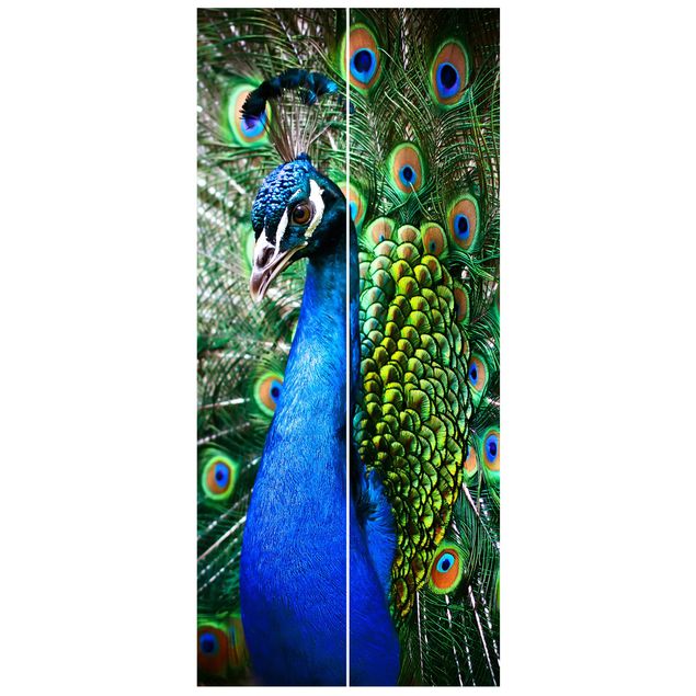 Papeles pintados modernos Noble Peacock