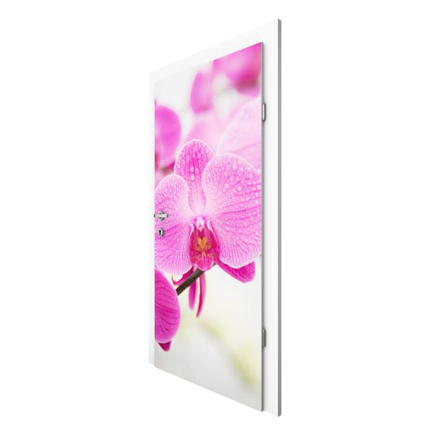 Papel pintado para puertas flores Close-Up Orchid