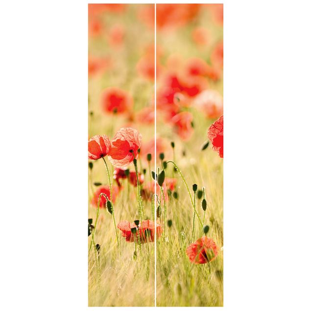 Papel pared flores Summer Poppies