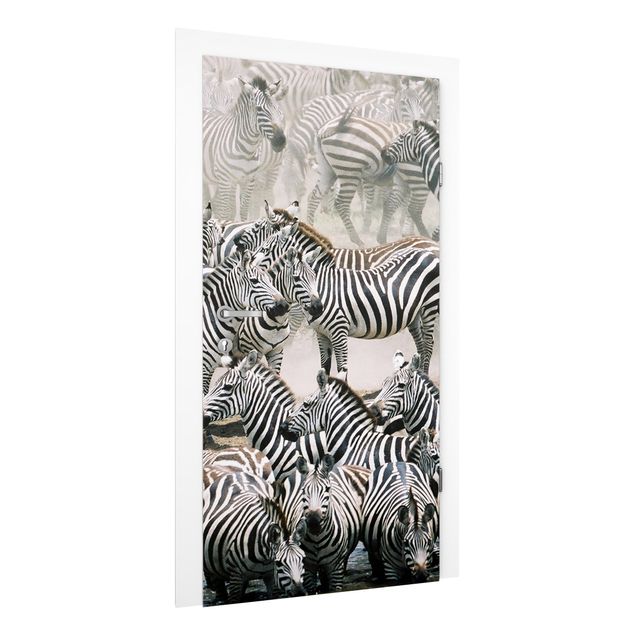 Papel pared cebra Zebra Herd