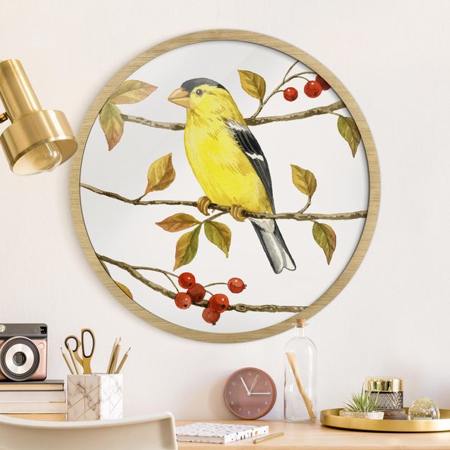 Pósters enmarcados vintage Birds And Berries - American Goldfinch