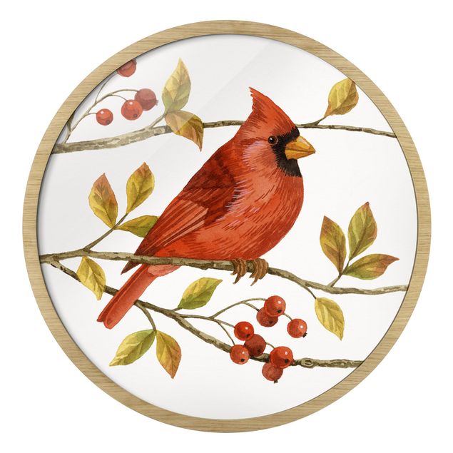 Cuadros naranja Birds And Berries - Northern Cardinal