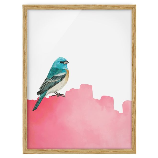 Cuadros de animales Bird On Pink Backdrop
