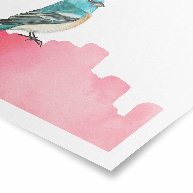 Cuadros decorativos Bird On Pink Backdrop