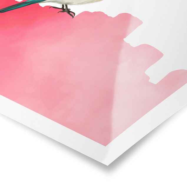 Láminas decorativas Bird On Pink Backdrop