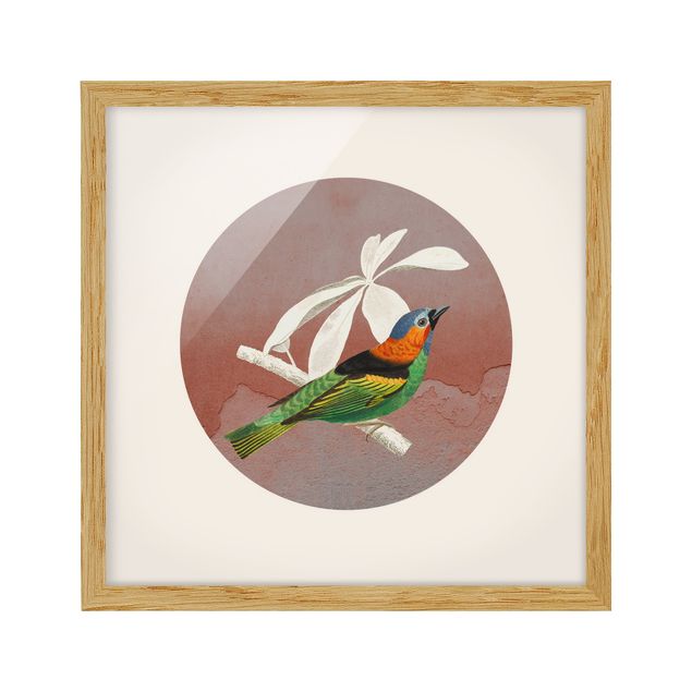 Cuadros animales Bird Collage In A Circle ll