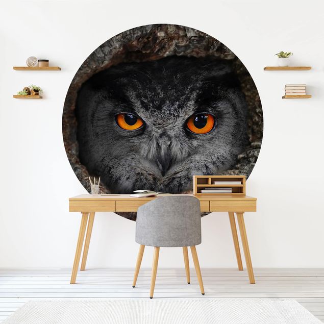 Decoración cocina Watching Owl