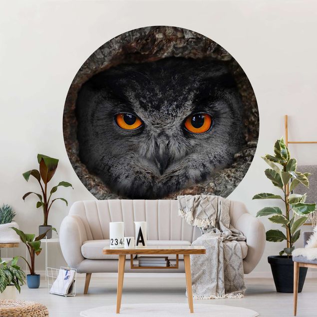 Papel pintado aves Watching Owl