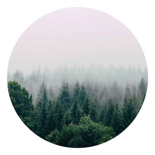Papel pintado Foggy Forest Twilight