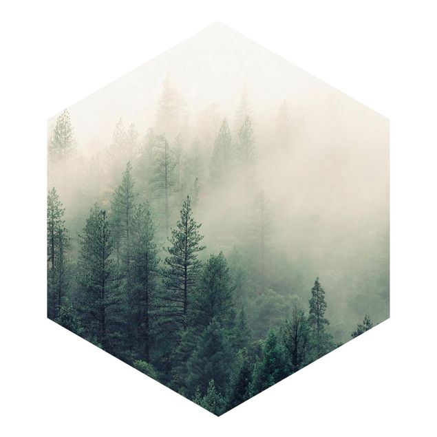 Papel de pared Foggy Forest Awakening