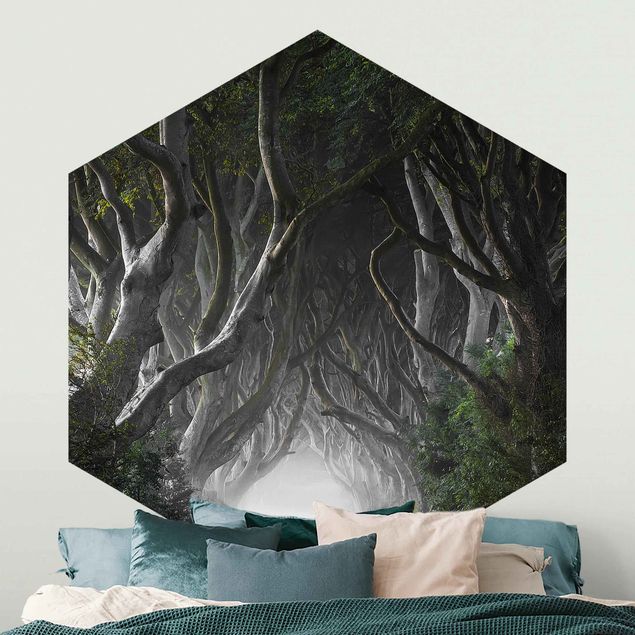 Papel pared 3d Forest In Northern Ireland