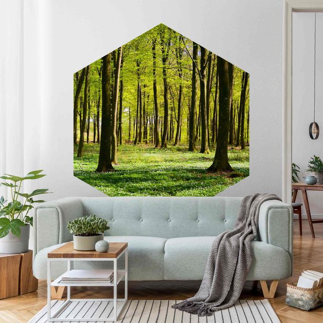 Papel pared paisaje Forest Meadow
