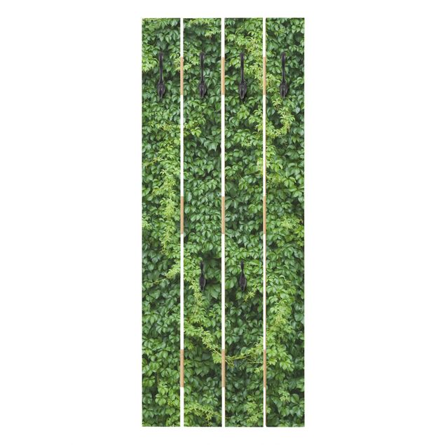 Perchero verde Ivy