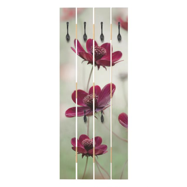 Percha pared Pink Cosmos Flower