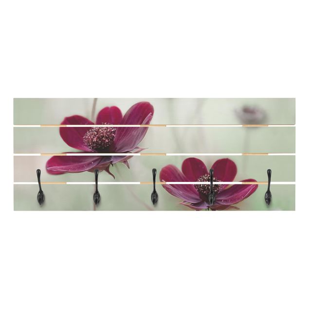 Percha pared Pink Cosmos Flower