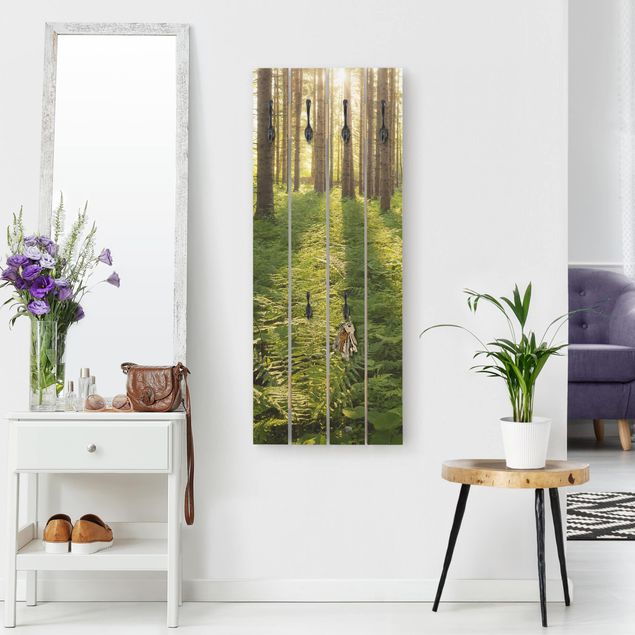 Percheros de pared shabby chic Sun Rays In Green Forest