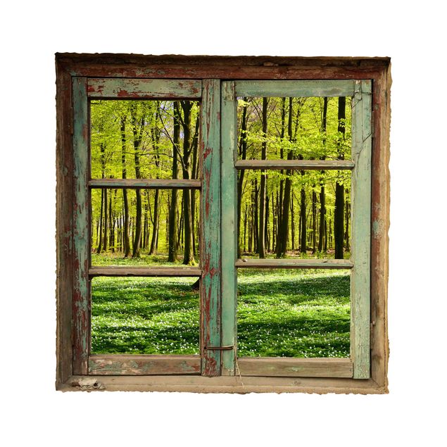 Vinil para pared 3d Forest Meadow