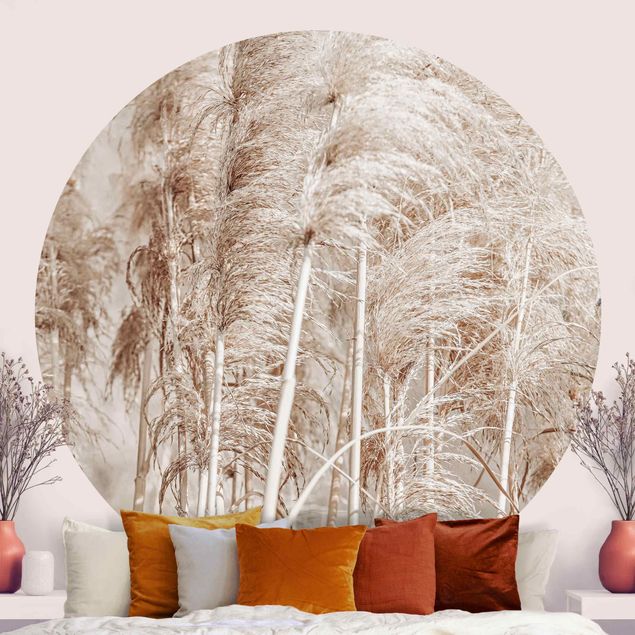 Papel pared flores Warm Pampas Grass In Summer