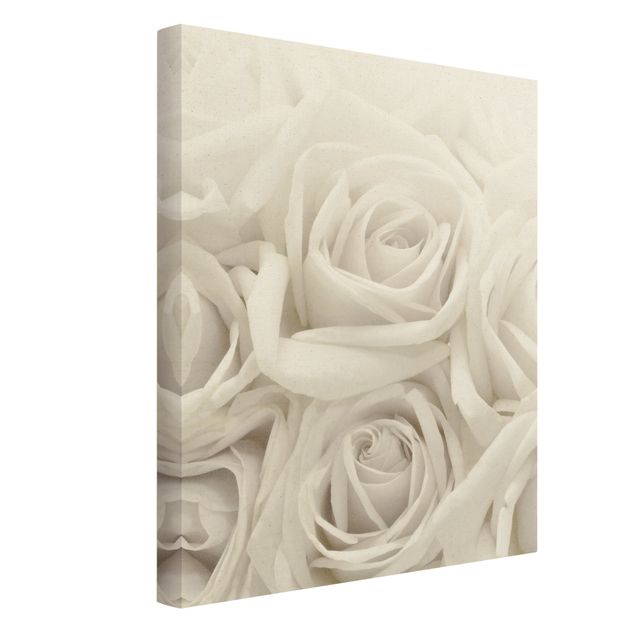 Cuadros modernos White Roses