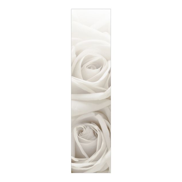Paneles japoneses flores White Roses
