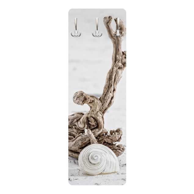 Percheros de pared beige White Snail Shell And Root Wood
