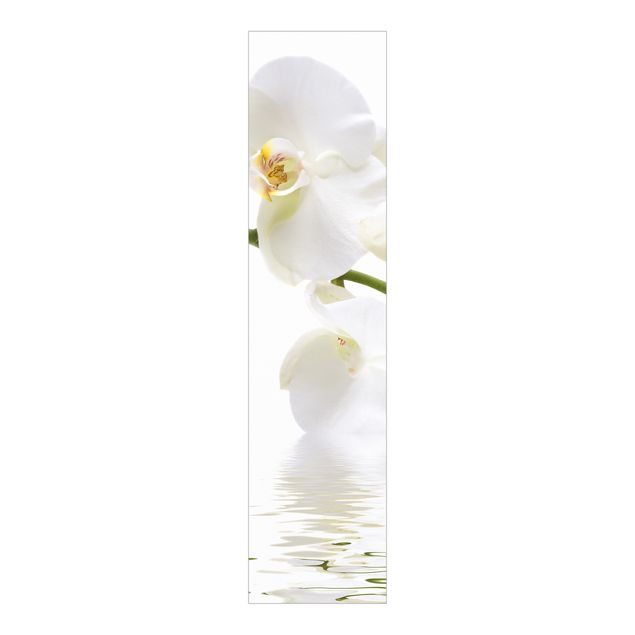 Paneles japoneses flores White Orchid Waters