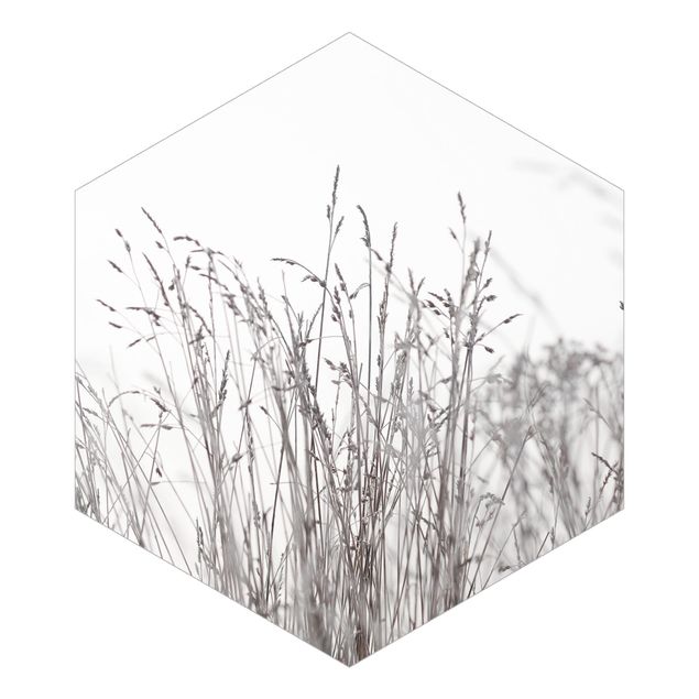 Cuadros de Monika Strigel Winter Grasses