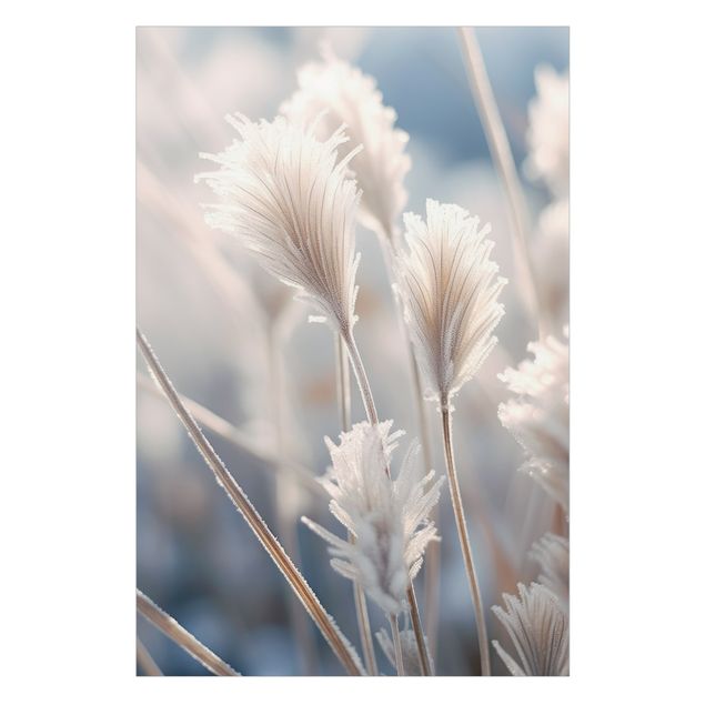 Vinilo para cristales - Winter grasses close-up
