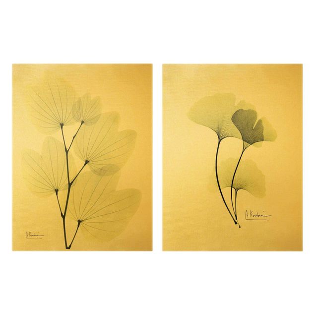 Cuadros de flores modernos X-Ray - Orchid Tree Leaves & Ginkgo